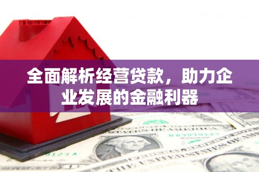 镇赉全面解析经营贷款，助力企业发展的金融利器