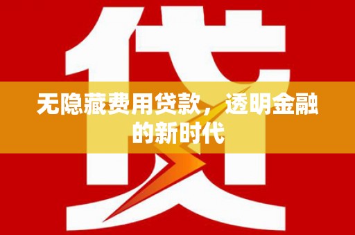 镇赉无隐藏费用贷款，透明金融的新时代
