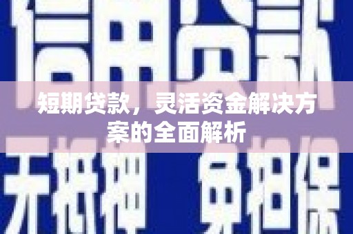 镇赉短期贷款，灵活资金解决方案的全面解析