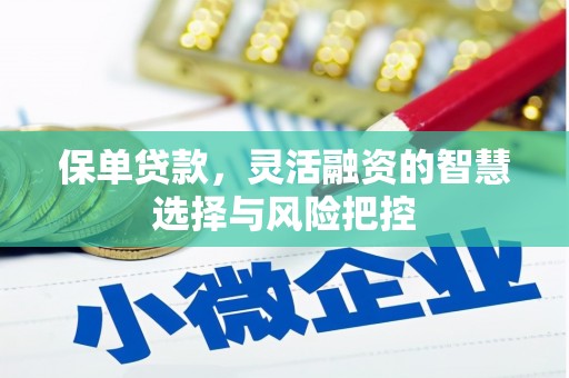 镇赉保单贷款，灵活融资的智慧选择与风险把控