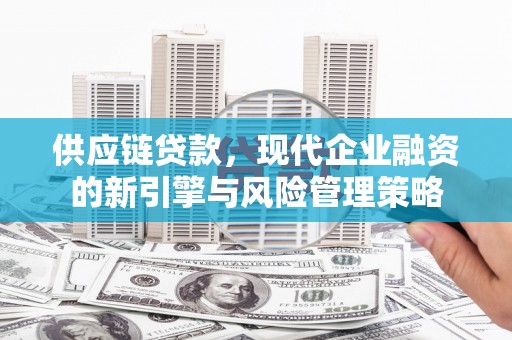 镇赉供应链贷款，现代企业融资的新引擎与风险管理策略