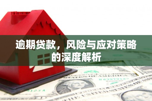 镇赉逾期贷款，风险与应对策略的深度解析