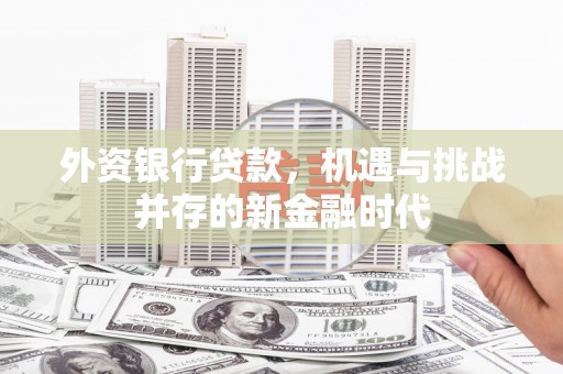 镇赉外资银行贷款，机遇与挑战并存的新金融时代