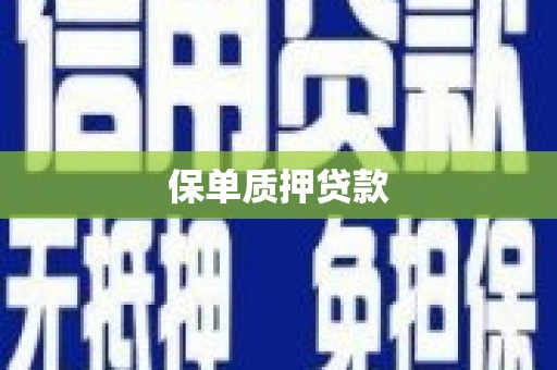 镇赉保单质押贷款