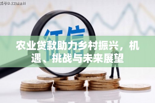 镇赉农业贷款助力乡村振兴，机遇、挑战与未来展望