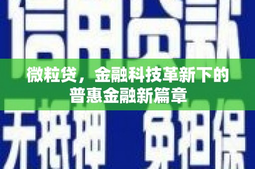 镇赉微粒贷，金融科技革新下的普惠金融新篇章
