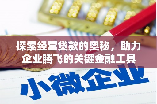 镇赉探索经营贷款的奥秘，助力企业腾飞的关键金融工具