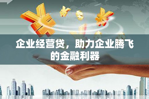 镇赉企业经营贷，助力企业腾飞的金融利器