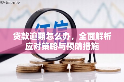 镇赉贷款逾期怎么办，全面解析应对策略与预防措施