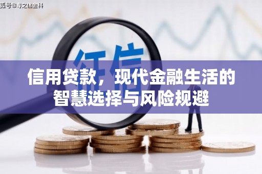 镇赉信用贷款，现代金融生活的智慧选择与风险规避