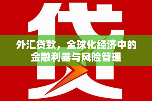 镇赉外汇贷款，全球化经济中的金融利器与风险管理