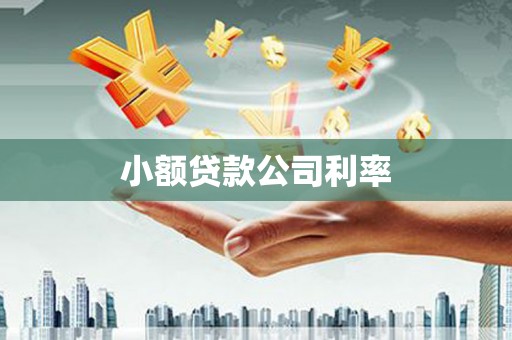 镇赉小额贷款公司利率