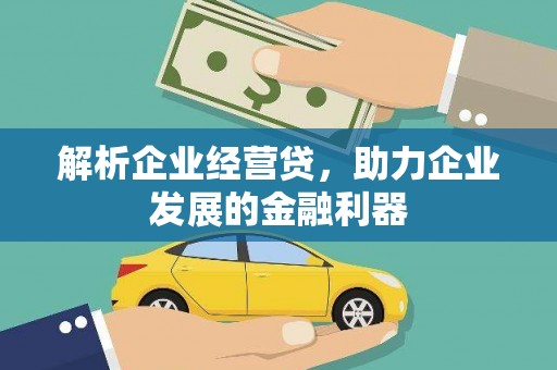 镇赉解析企业经营贷，助力企业发展的金融利器
