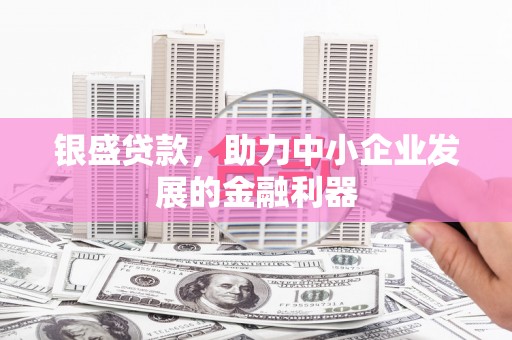 镇赉银盛贷款，助力中小企业发展的金融利器