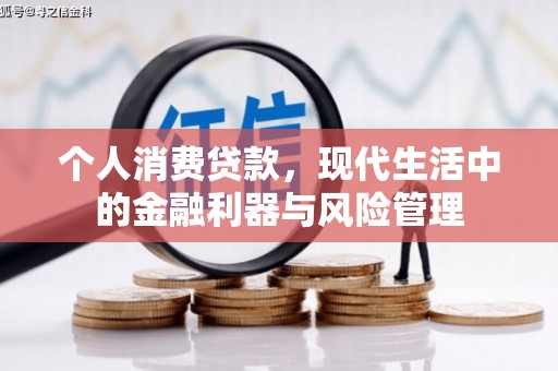 镇赉个人消费贷款，现代生活中的金融利器与风险管理