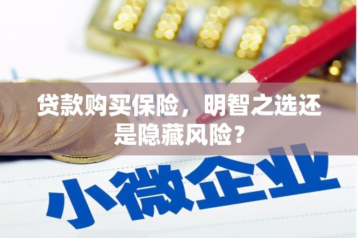 镇赉贷款购买保险，明智之选还是隐藏风险？