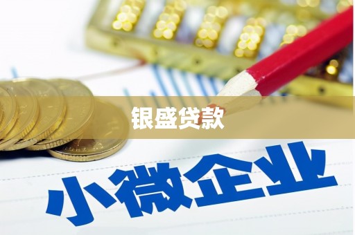 镇赉银盛贷款