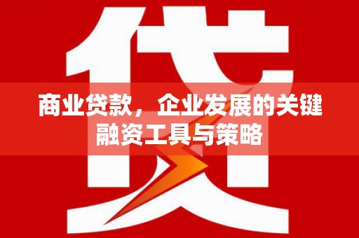 镇赉商业贷款，企业发展的关键融资工具与策略