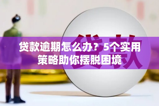 镇赉贷款逾期怎么办？5个实用策略助你摆脱困境