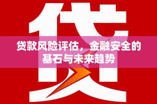 镇赉贷款风险评估，金融安全的基石与未来趋势