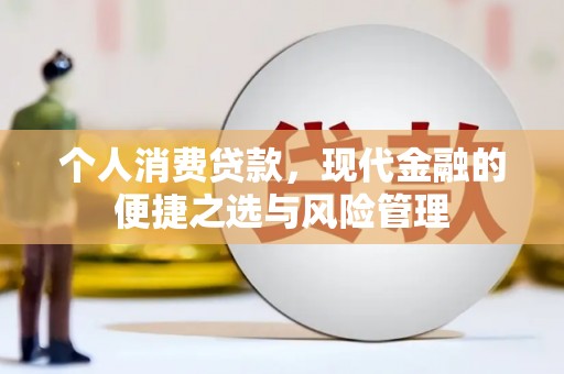 镇赉个人消费贷款，现代金融的便捷之选与风险管理