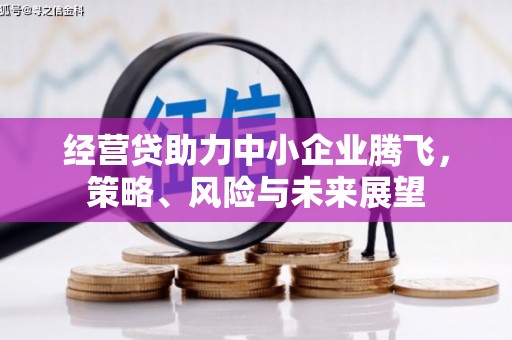 镇赉经营贷助力中小企业腾飞，策略、风险与未来展望