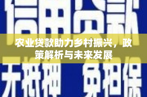 镇赉农业贷款助力乡村振兴，政策解析与未来发展