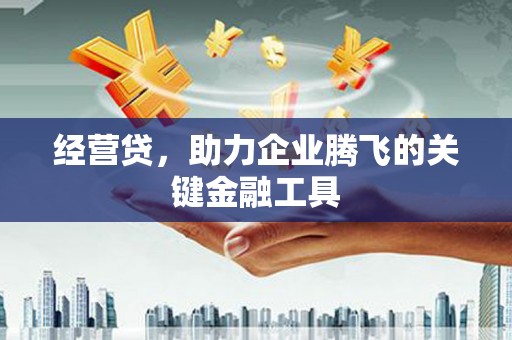 镇赉经营贷，助力企业腾飞的关键金融工具
