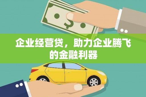 镇赉企业经营贷，助力企业腾飞的金融利器