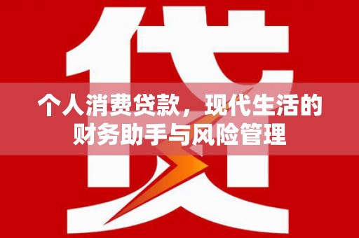 镇赉个人消费贷款，现代生活的财务助手与风险管理