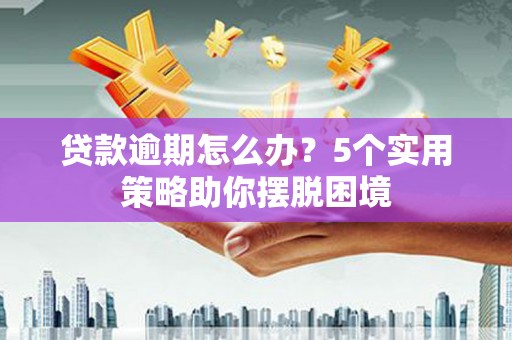 镇赉贷款逾期怎么办？5个实用策略助你摆脱困境