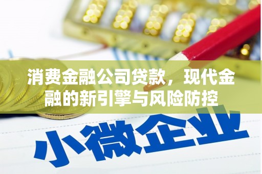 镇赉消费金融公司贷款，现代金融的新引擎与风险防控