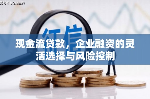 镇赉现金流贷款，企业融资的灵活选择与风险控制
