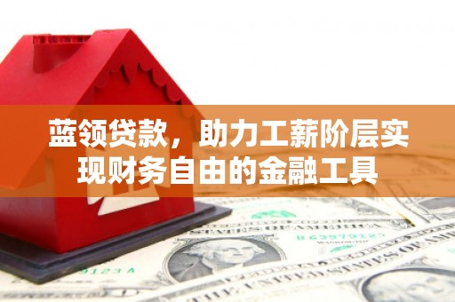 镇赉蓝领贷款，助力工薪阶层实现财务自由的金融工具