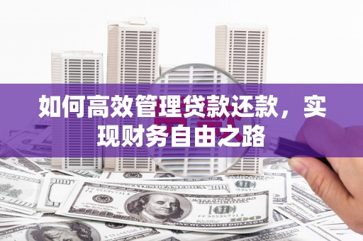 镇赉如何高效管理贷款还款，实现财务自由之路