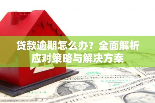 镇赉贷款逾期怎么办？全面解析应对策略与解决方案