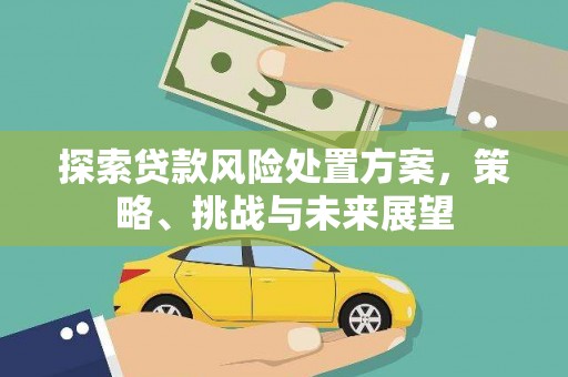 镇赉探索贷款风险处置方案，策略、挑战与未来展望
