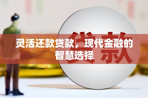 镇赉灵活还款贷款，现代金融的智慧选择