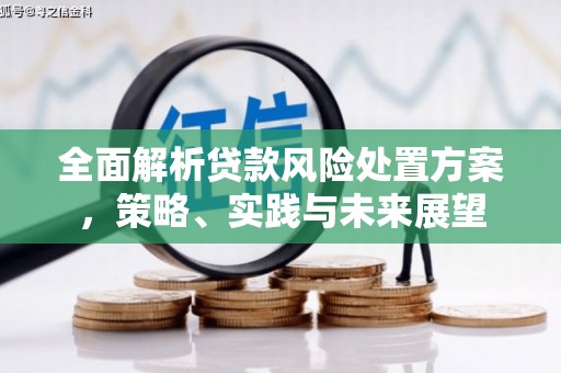 镇赉全面解析贷款风险处置方案，策略、实践与未来展望