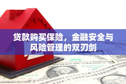 镇赉贷款购买保险，金融安全与风险管理的双刃剑