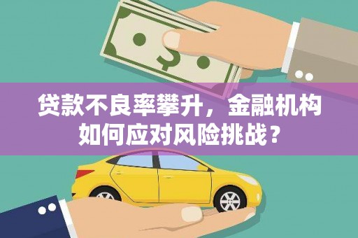 镇赉贷款不良率攀升，金融机构如何应对风险挑战？