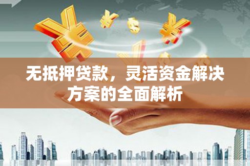 镇赉无抵押贷款，灵活资金解决方案的全面解析