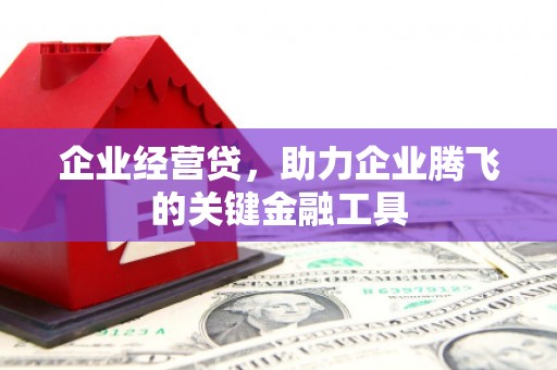镇赉企业经营贷，助力企业腾飞的关键金融工具