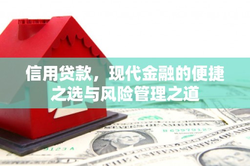 镇赉信用贷款，现代金融的便捷之选与风险管理之道
