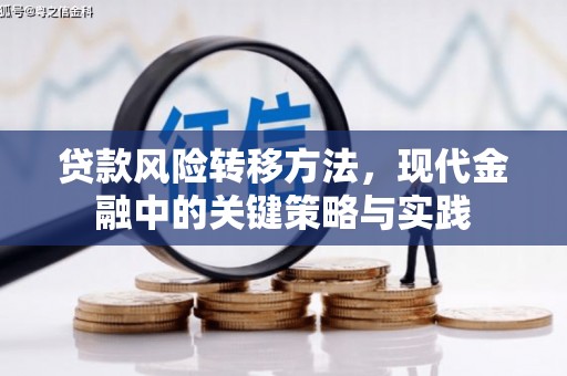 镇赉贷款风险转移方法，现代金融中的关键策略与实践
