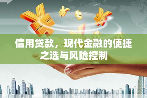 镇赉信用贷款，现代金融的便捷之选与风险控制