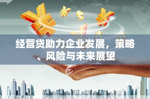镇赉经营贷助力企业发展，策略、风险与未来展望