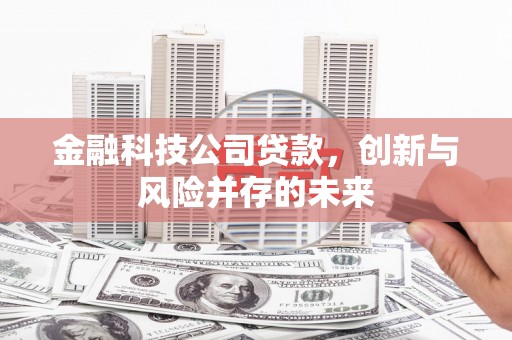 镇赉金融科技公司贷款，创新与风险并存的未来