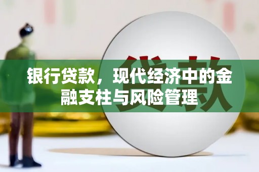 镇赉银行贷款，现代经济中的金融支柱与风险管理