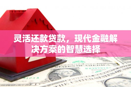 镇赉灵活还款贷款，现代金融解决方案的智慧选择